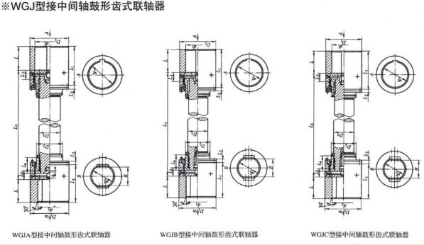 WGJ Central Coat Drum Shape Gear Coupling